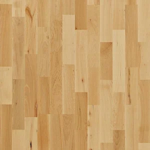 Buk Viborg